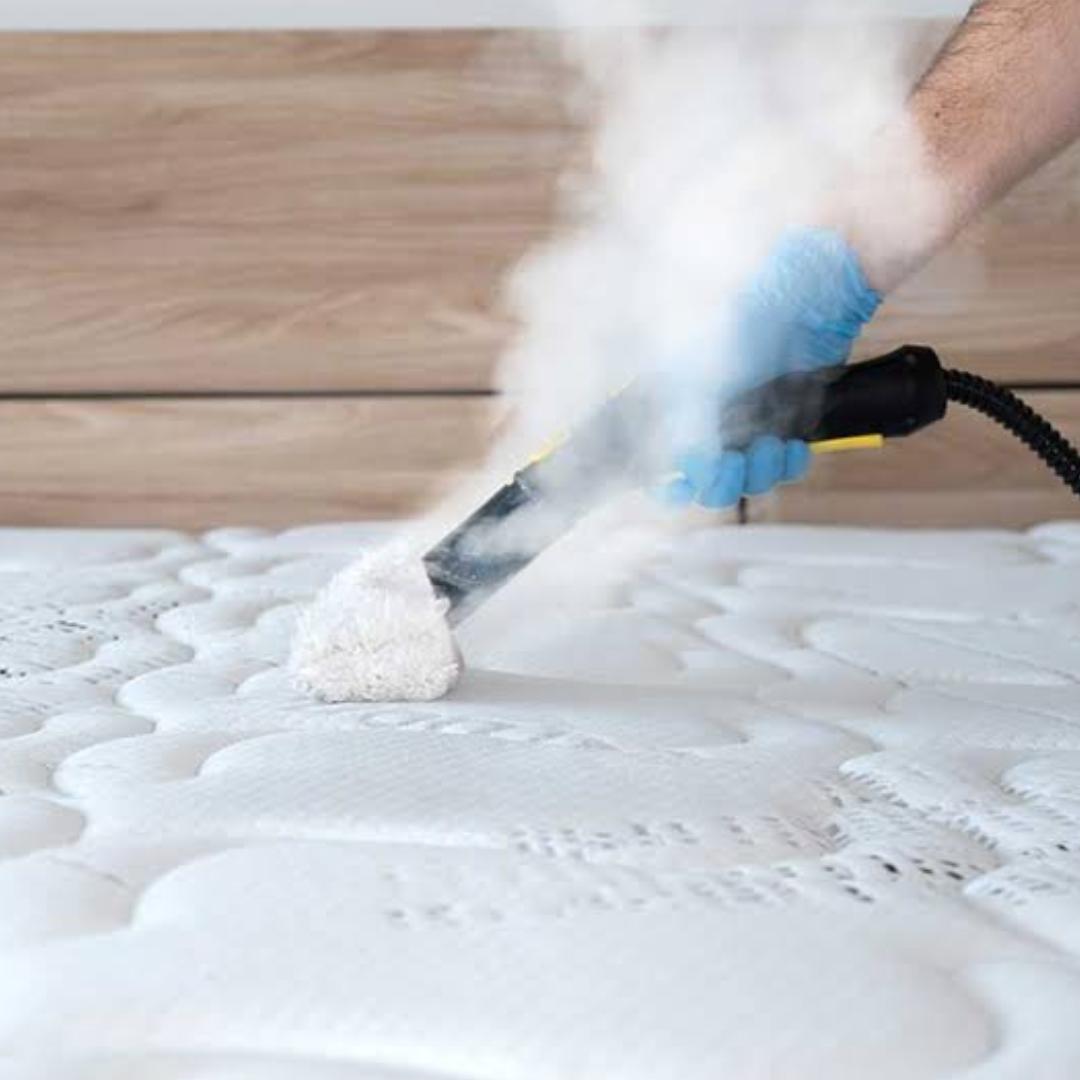 WhatsApp Image 2024-10-11 at 09.50.52